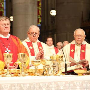 Amtseinführung von Bischof Manfred Scheuer im Linzer Mariendom (17.1.2016)
