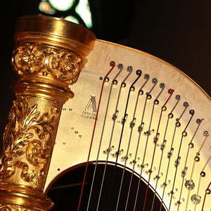 Welch prachtvolles Instrument!