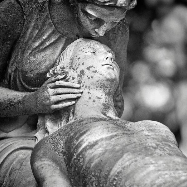 © Alain Frechette/pexels.com/CC0 1.0
