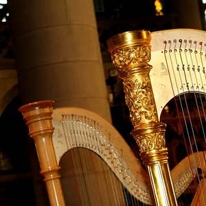 Orgel und Orgel - welche Kombination!