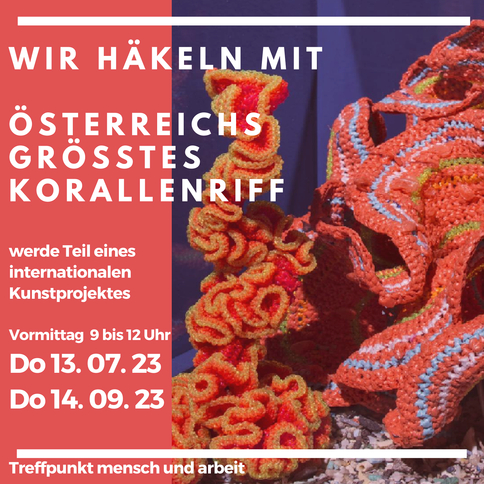 Korallenriff Häkeln / Judith Wein