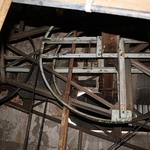 Turmfalken
