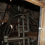 Turmfalken