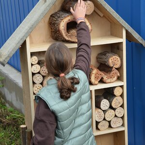 Workshop bee nice – Bau eines Insektenhotels