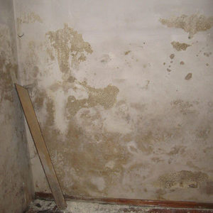 Rückblick Baugeschehen