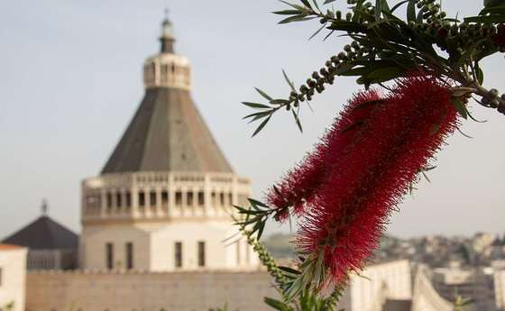 Verkündigungsbasilika Nazareth / Stefan Ulz