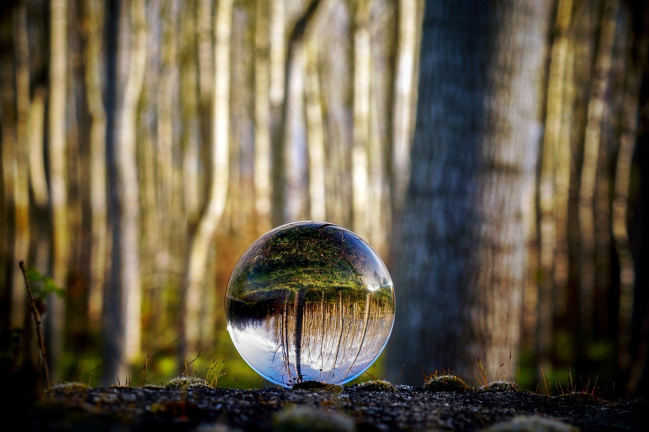 Image by Pietro Merola from Pixabay