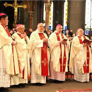 30 Jahre Bischofsweihe, Linzer Mariendom (2012)