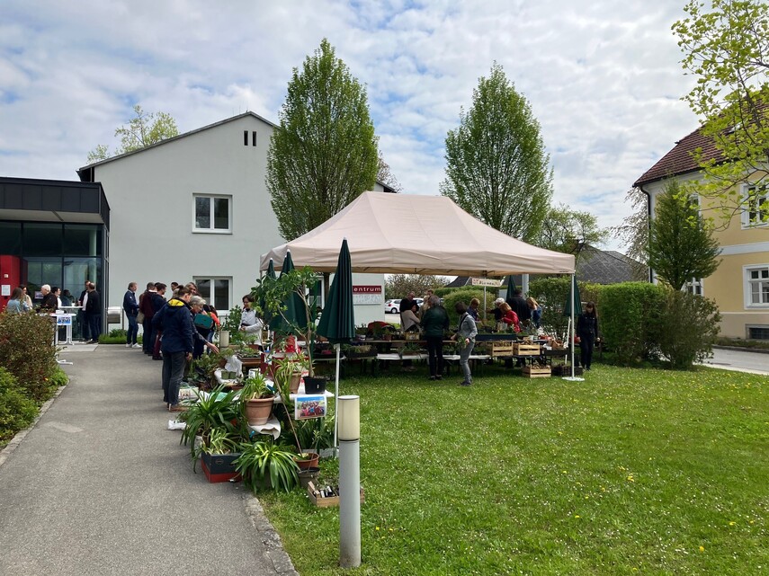 Pflanzenmarkt 2023