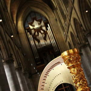 Denn die Rudigierorgel ist auch dabei!